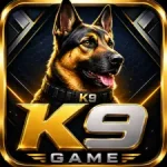 K9 Game